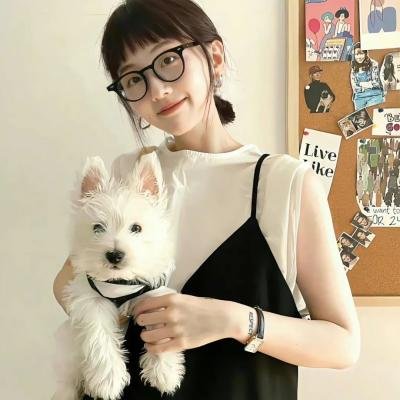 真相之终极之旅