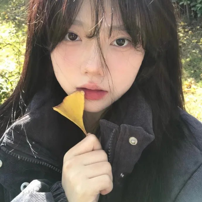 全面进化